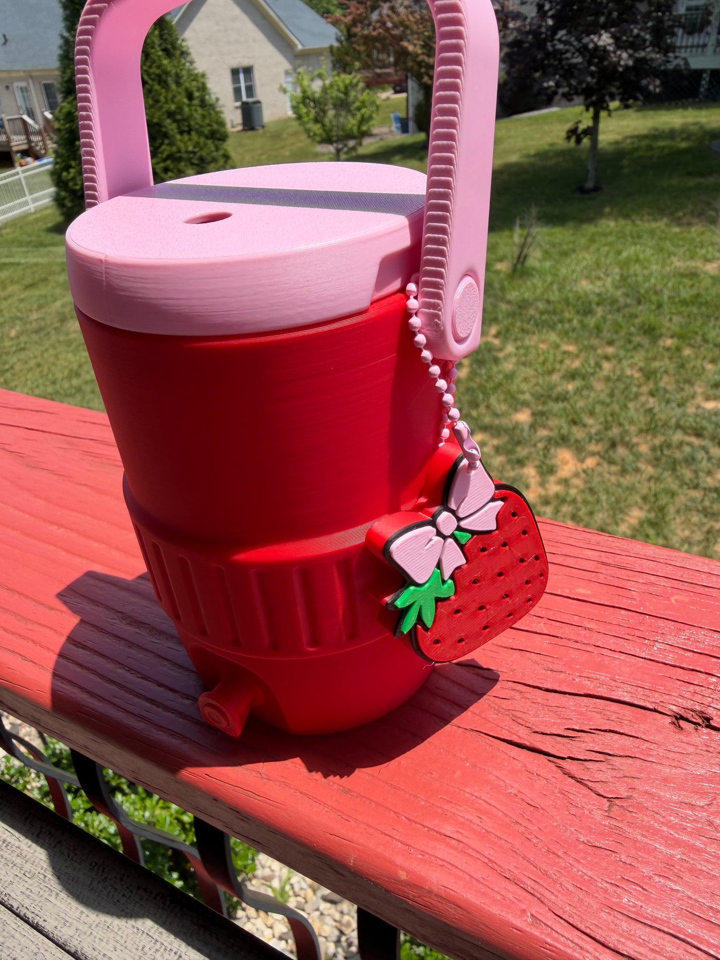 Can Cooler-Strawberry Themed